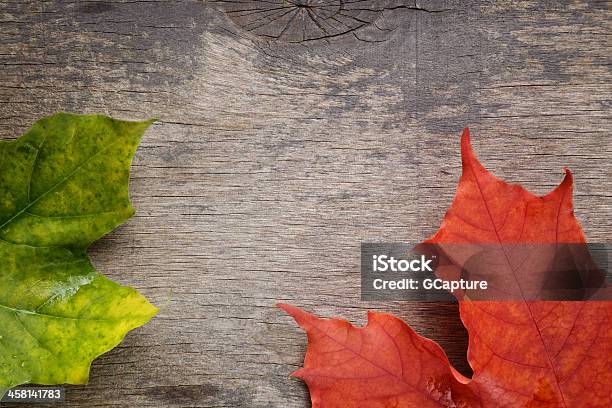 Herbst Ahorn Blätter Auf Holz Oberfläche Stockfoto und mehr Bilder von Ahorn - Ahorn, Alt, Altertümlich