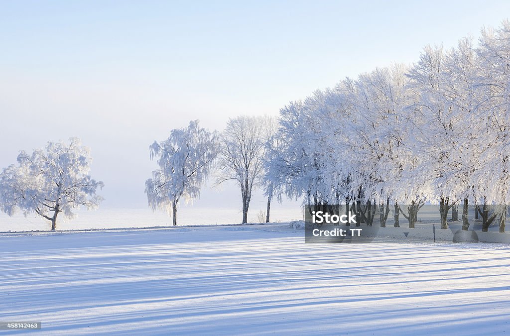 Winter landscape Winter landscape with snow on the trees Agricultural Field Stock Photo