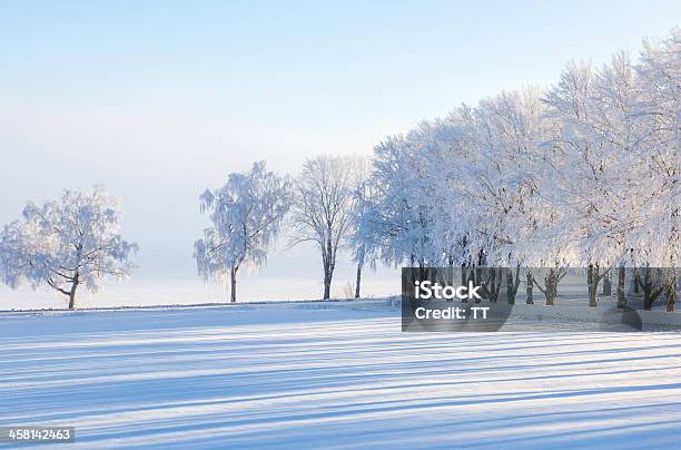 Winter Landscape Stock Photo - Download Image Now - Agricultural Field, Agriculture, Bare Tree