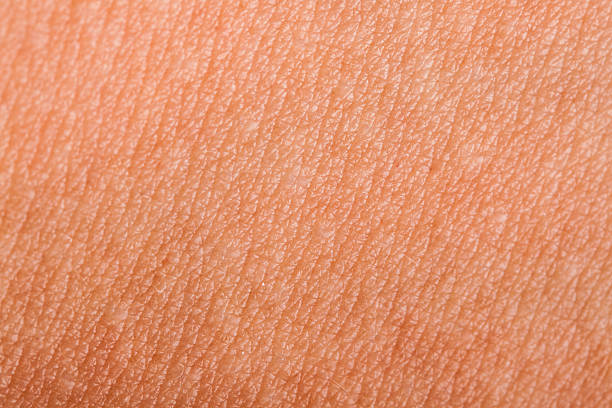 istock Human skin close up 458149827