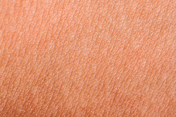 Human skin close up stock photo