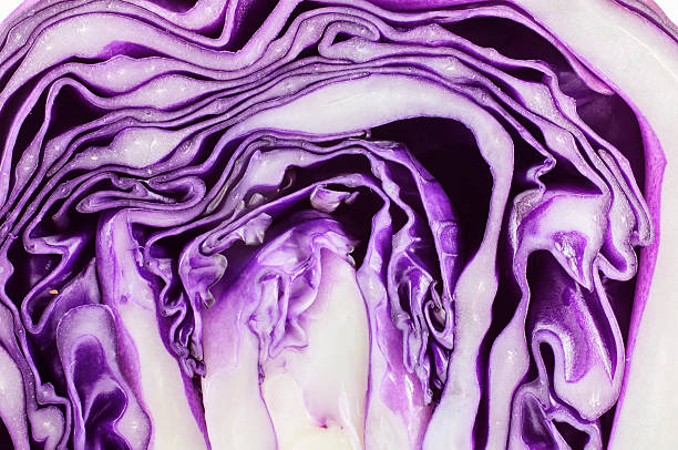 couve-flor roxa - cauliflower portion growth vegetable - fotografias e filmes do acervo