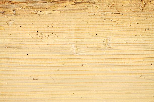 Detail of the plank piece completely damaged
