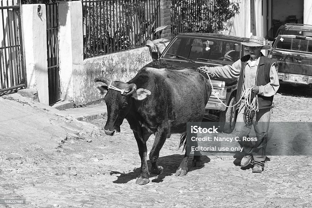 Uomo che gira su strada di ciottoli, San Sebastian, Messico - Foto stock royalty-free di Acciottolato