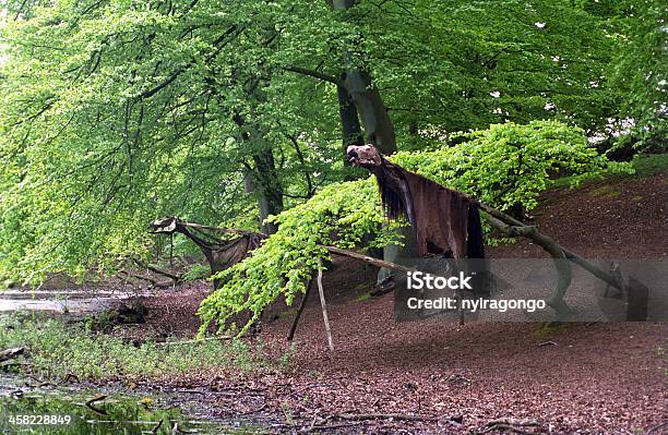 Photo libre de droit de Reconstruction De Viking Village Lejre Danemark banque d'images et plus d'images libres de droit de Antique - Antique, Arbre, Architecte