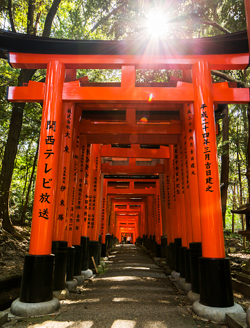 Kyoto, Japan - October 20, 2012: People walking inside Torii gates at Fushimi Inari in Kyoto Japan. Torii are traditional gates found at the entrance of Shinto shrines and mark the frontier from the profane to the sacred. Fushimi Inari Taisha is the main shrine of Inari and is located in Fushimi-ku in Kyoto. Inari the god of rice is also patron of business. Each of the thousands of Torii gates here is donated and inscribed by a business in an attempt to attract wealth and success. Over ten thousand of this gates are spread all over the Inari mountain.