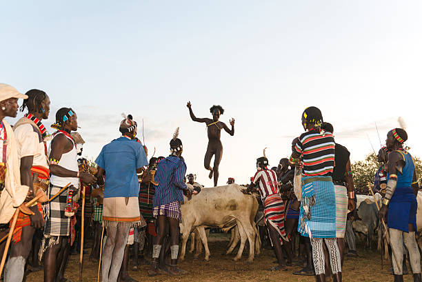 Bull jumping ceremony Arba Minch, Ethiopia - November 3, 2012: Bull jumping ceremony. A large group of young man in decorative, colorful dresses standing at the side and watching young, naked man jumping over the row of bulls. Evening lights. hamer tribe photos stock pictures, royalty-free photos & images