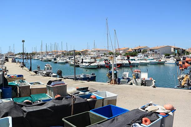Capbreton port with fishing boats. Landes department