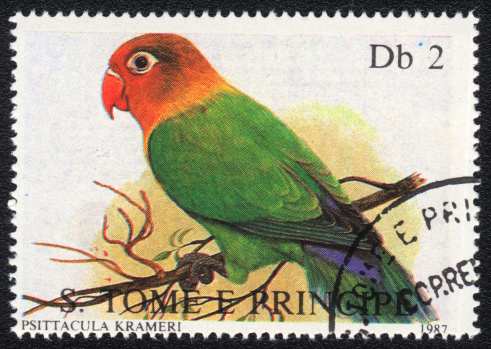 St.Petersburg, Russia - February 5, 2012: A stamp printed in SAO TOME AND PRINCIPE   shows Ringnecked Parakeet ( Psittacula Krameri), from series, circa 1987