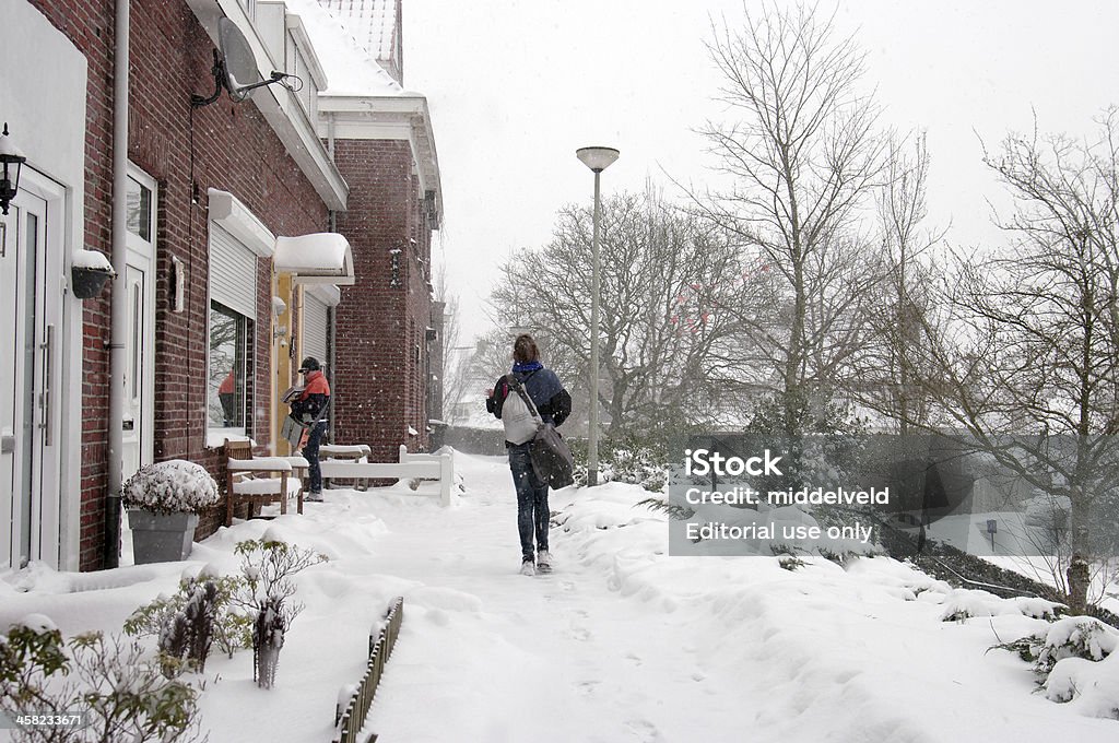 Scena di inverno in Olanda - Foto stock royalty-free di Adulto