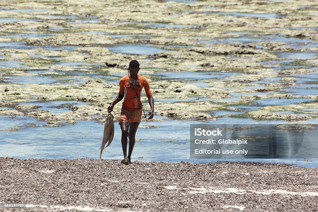 Pescador traz Polvo do mar. - Royalty-free Peixe Foto de stock