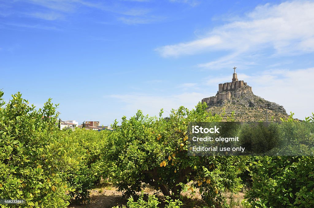 Murcia die lemon orchard gegen die Hügel von Schloss Monteagudo - Lizenzfrei Obstgarten Stock-Foto
