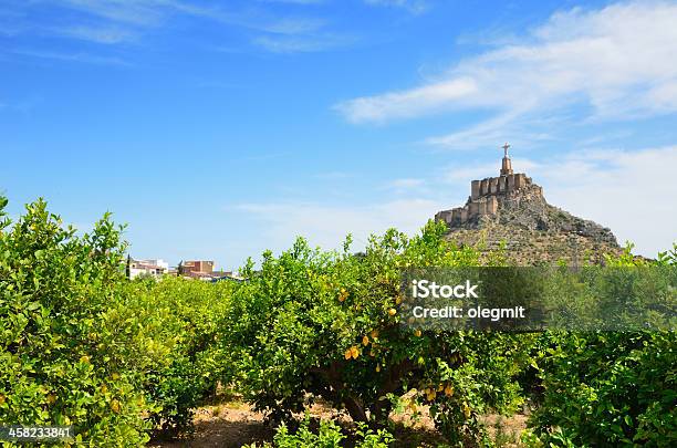 Murcia Die Lemon Orchard Gegen Die Hügel Von Schloss Monteagudo Stockfoto und mehr Bilder von Obstgarten