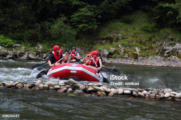 ラフティングの川 Dunajec - ウォータースポーツのストックフォトや画像を多数ご用意 - ウォータースポーツ, エクストリームスポーツ, カルパティア山脈