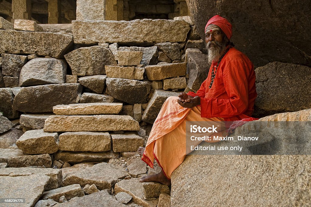 Indian monach on rocks - Foto de stock de Adulto libre de derechos