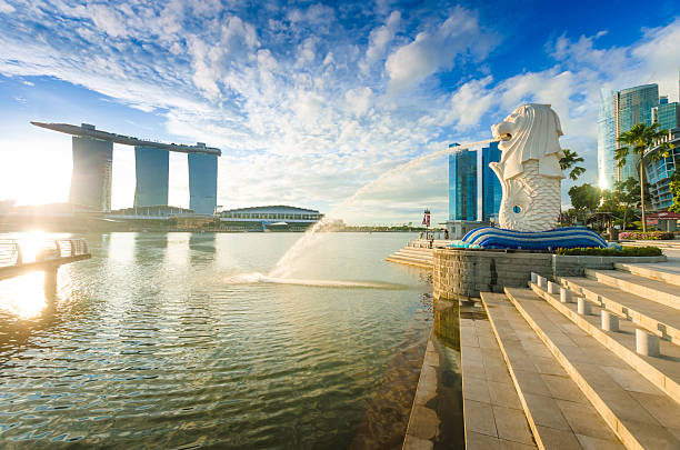 hermoso sol de la mañana en el parque de merlion de singapur - merlion singapore marina bay lighting equipment fotografías e imágenes de stock