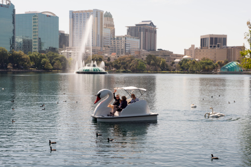 Orlando, United States - March 7, 2013: On a sunny afternoon a family tours Lake Eola in downtown via a swan shaped paddle boat. Surrounding them are real life swans and ducks. In the background are the fountain, amphitheater and high rise city buildings. Birds dot the sky way in the distance.