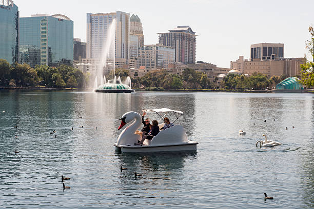 Lake Eola Paddle Boat Swans Orlando, United States - March 7, 2013: On a sunny afternoon a family tours Lake Eola in downtown via a swan shaped paddle boat. Surrounding them are real life swans and ducks. In the background are the fountain, amphitheater and high rise city buildings. Birds dot the sky way in the distance. paddleboat stock pictures, royalty-free photos & images