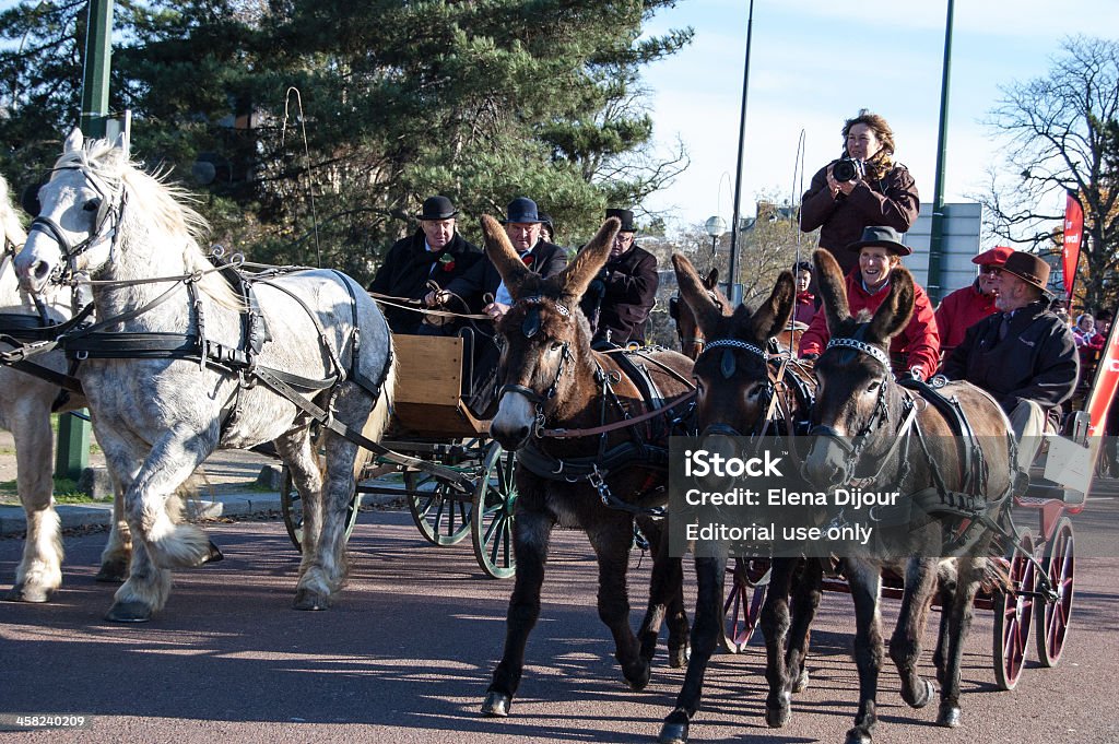 Paris horse parade - Lizenzfrei Esel Stock-Foto