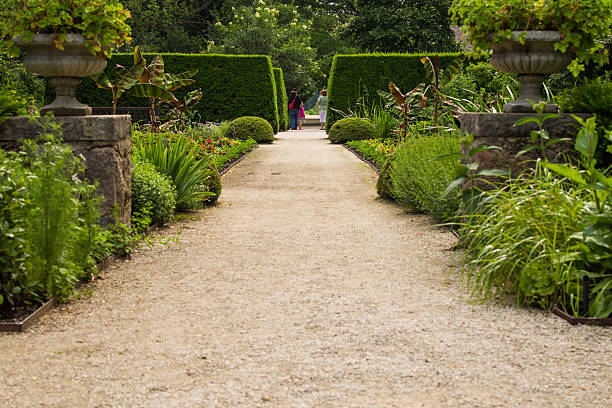 Sunlit Mediterranean garden pathway with stone wall, lush green plants, and spikyagave in Malta.