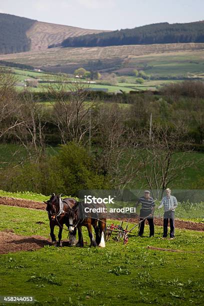 말 밭갈이 농부에 대한 스톡 사진 및 기타 이미지 - 농부, 북부 아일랜드, 영국