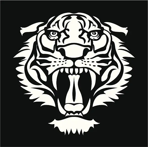 Vector illustration of Roaring white tiger vector over black background