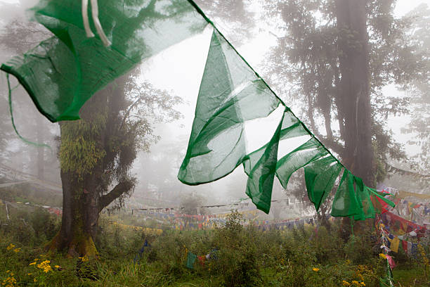 Gebet flags in den nebligen Wald umliegenden Dochu La – Foto