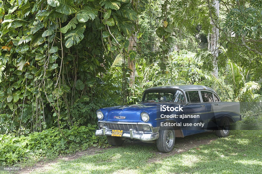 Américaine de voiture conduite de vinales, Cuba - Photo de Amérique latine libre de droits