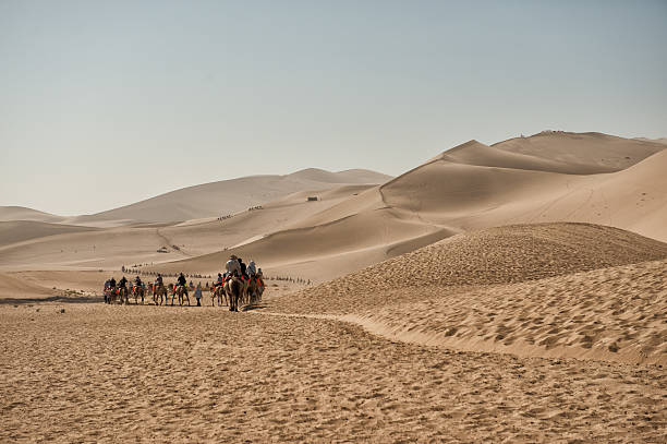 camello safari en mingsha dunas de arena en el desierto de gobi - dunhuang fotografías e imágenes de stock