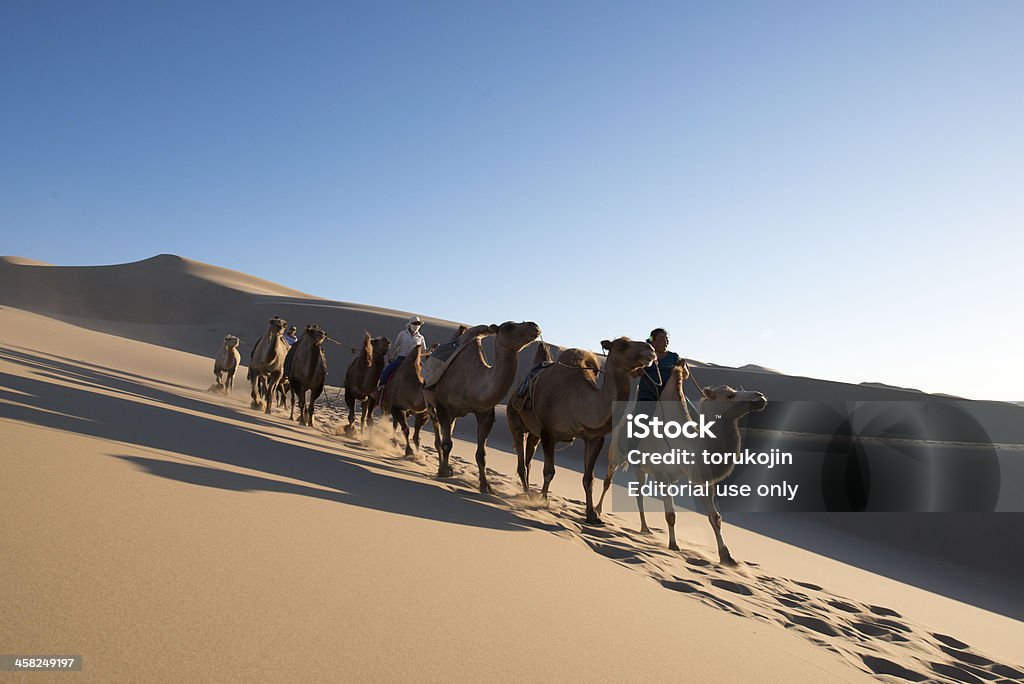 ゴビ砂漠やラクダは今後 - アジア大陸のロイヤリティフリーストックフォト