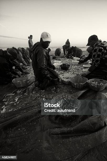 Fischer Am Strand Stockfoto und mehr Bilder von Arbeiten - Arbeiten, Berufliche Beschäftigung, Editorial