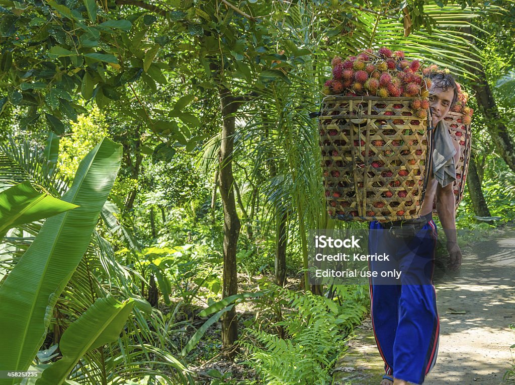 Rambutan farmer in Bali, Indonesien - Lizenzfrei Rambutan Stock-Foto