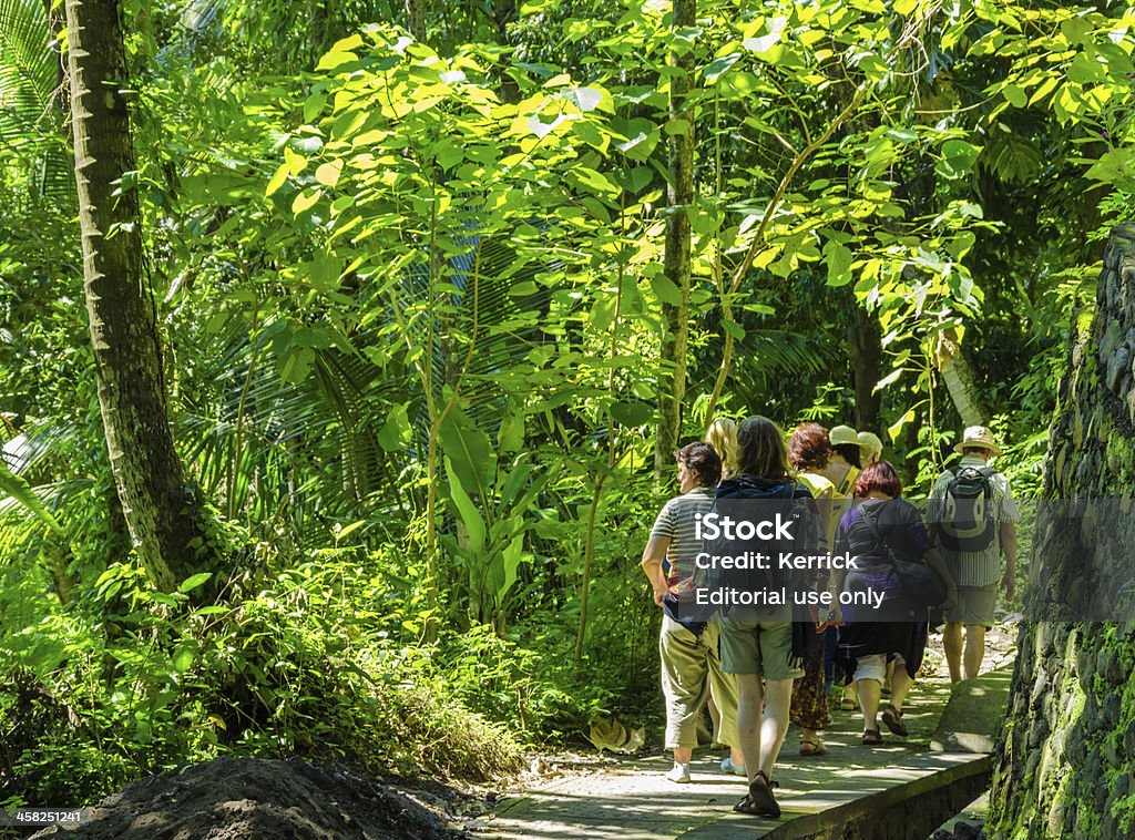 Touristen zu Fuß durch den Dschungel in Bali, Indonesien - Lizenzfrei Bali Stock-Foto