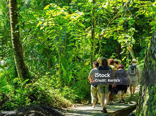 Touristen Zu Fuß Durch Den Dschungel In Bali Indonesien Stockfoto und mehr Bilder von Bali