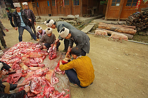 Farmers cut up and sort asian pork in chinese countryside. Zengchong village, Guizhou, China - April 12, 2010: Processing of fresh pork, Chinese peasants from the village of ethnic minorities Zengchong Dong Village, April 12, 2010. Funeral white headbands, on the head of the Chinese farmers. White mourning hats Chinese men. pig farmer china stock pictures, royalty-free photos & images