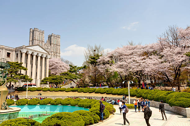 hee kyung campus da universidade, seul, coreia do sul - built structure building exterior asian culture seoul - fotografias e filmes do acervo