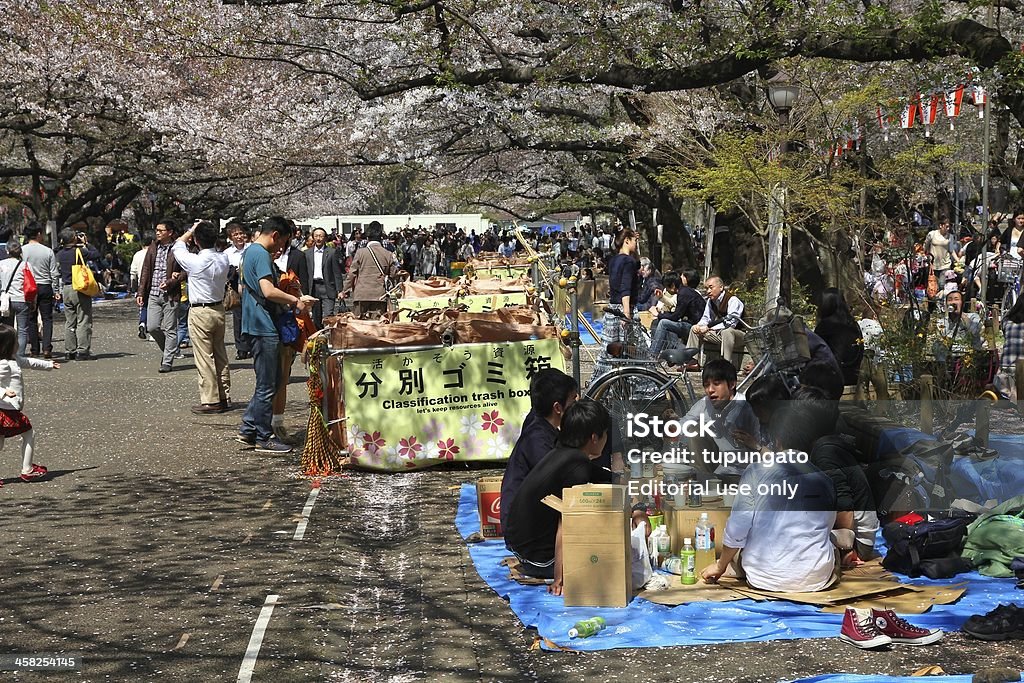 Sakura in Tokio - Lizenzfrei Asien Stock-Foto