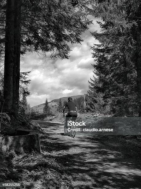 Strada Di Campagna Un Dwhite Nero - Fotografie stock e altre immagini di Adulto - Adulto, Alto Adige, Ambientazione esterna