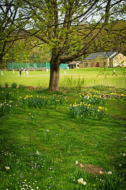 villaggio di cricket - sport of cricket village cricket player english culture foto e immagini stock