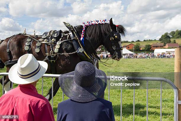 Ringside Aussicht Stockfoto und mehr Bilder von Am Ring - Am Ring, Aufführung, Ausstellung