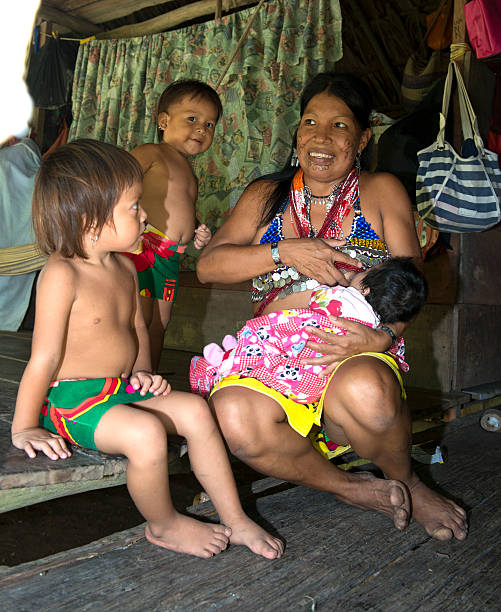 엠베라 부품군 자신의 시골집 - panama embera indian native american indigenous culture 뉴스 사진 이미지