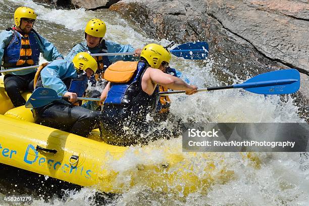 Rafting Em Rápidos Colorado - Fotografias de stock e mais imagens de Ao Ar Livre - Ao Ar Livre, Atividade, Aventura