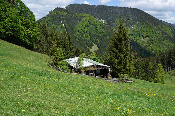 ゲストハウスドイツのアルプスで - mountain rock sun european alps ストックフォトと画像