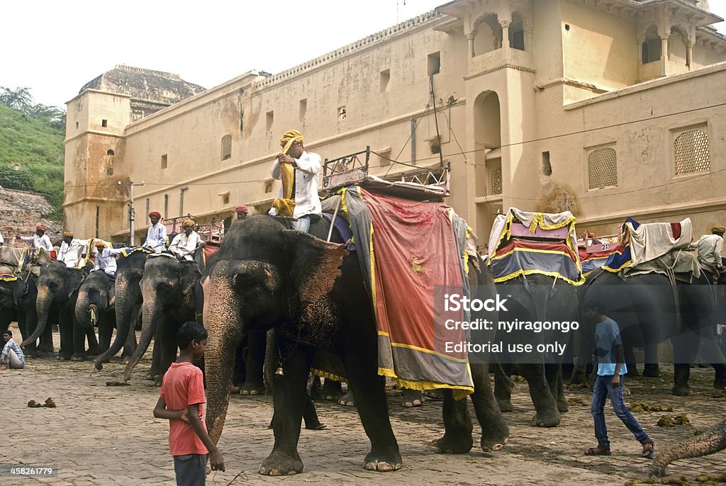 Elefante táxis, âmbar, Rajastão, Índia - Foto de stock de Animal royalty-free