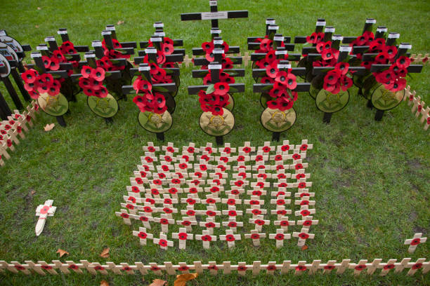 papavero cerimoniale giorno per veterani di westminster a londra, inghilterra, regno unito - ceremony poppy church us memorial day foto e immagini stock