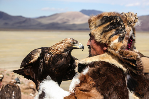 Sagsay, Mongolia - September 21, 2012: Mongolian eagle hunter.A mongolian eagle hunter  from Kazakh tribe with his eagle on the arm. He wears his traditional skin clothes, which are typical for western Mongolia, Altai area.Kazakh people in  the western part of mongolia domesticate female golden eagles for hunting. By this eagles they are hunting hare, foxes and even wolves during the very cold winter time.