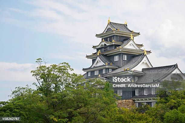 Panorama Widok Okayama Czarny Zamek - zdjęcia stockowe i więcej obrazów Antyki - Antyki, Azja, Fort