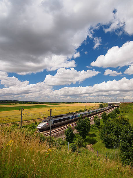 TGV train between the field stock photo