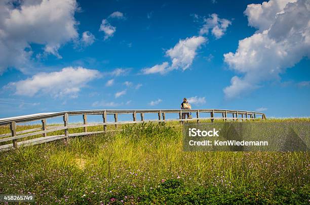 Cruzar La Duna Foto de stock y más banco de imágenes de Cape Cod - Cape Cod, Paso Entablado, Adulto