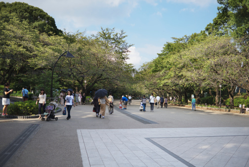 Tokyo, Japan - October 7, 2013: People - including women dressed in kimono - are walking through the Ueno Park in Tokyo under large trees in the afternoon in fall.